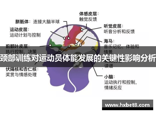 颈部训练对运动员体能发展的关键性影响分析